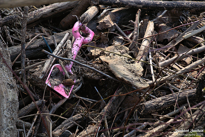 Bernhard Saalfeld - DSC01537 -1